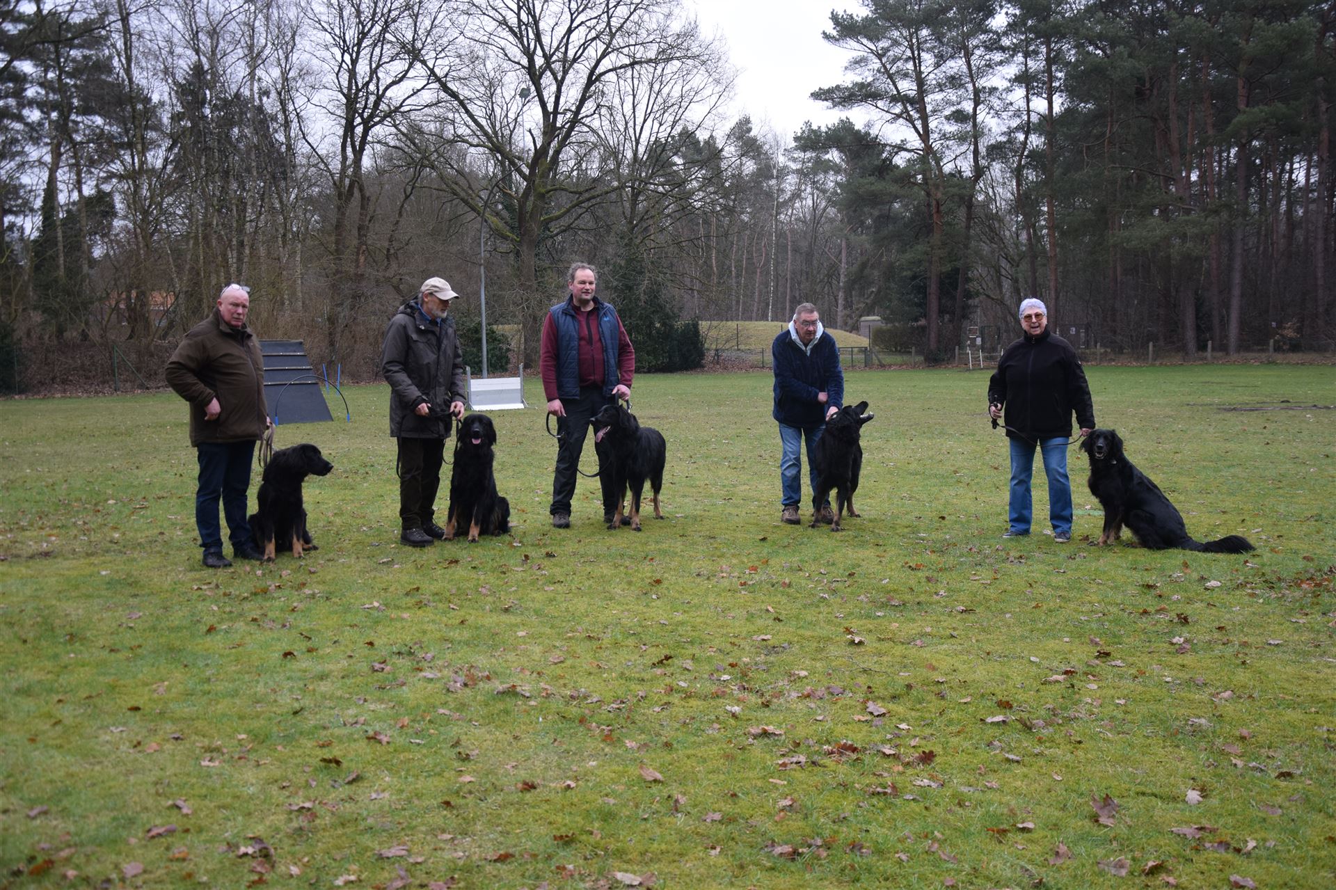V-Wurf aus dem Emsland